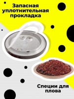 01pggsv4