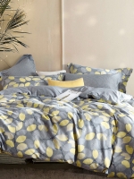 25bhg4e4