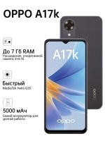 li1i1gv4091