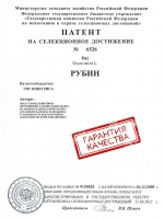xedgnvi0