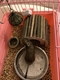 Домик для грызунов Woodpethouse, овал, 18х15х15см Zoobaloo