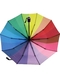 Женский зонт Lantana umbrella.