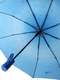 Женский зонт Lantana umbrella.