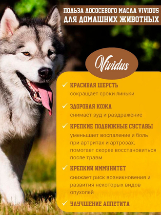 Лососевое масло Vividus / Омега-3 / Вивидус 0,95 л / корм для собак Vividus