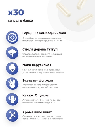Жиросжигатели Fat Burner Day и Night / Капсулы для похудения / Блокатор жира/ Таблетки для похудения GUARCHIBAO
