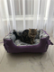 Лежак (лежанка) для животных двухсторонняя Love animal