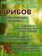 Грибы белые резаные / Белые маринованные грибы / Алтайские грибы, 300 г Грибной Алтай