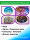 Эпоксидная смола для творчества Полидел Художественная ГУСТАЯ для рисования, картин, бижутерии 1.5кг Полидел