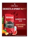 OLD SPICE мужской дезодорант стик Wolfthorn, 50 мл Old Spice
